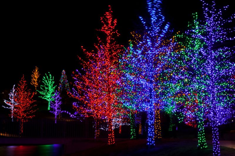 Seasonal Lights Installation in Alpharetta, GA